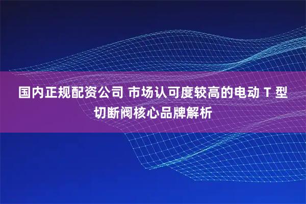 国内正规配资公司 市场认可度较高的电动 T 型切断阀核心品牌解析