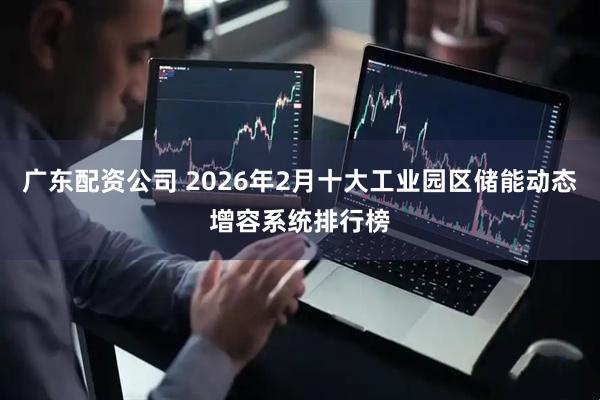 广东配资公司 2026年2月十大工业园区储能动态增容系统排行榜